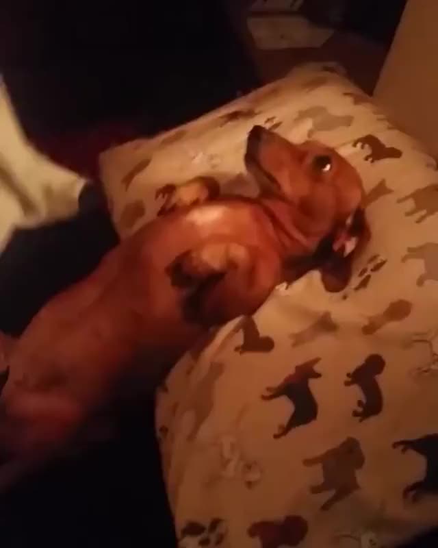 Good night routine for good boy