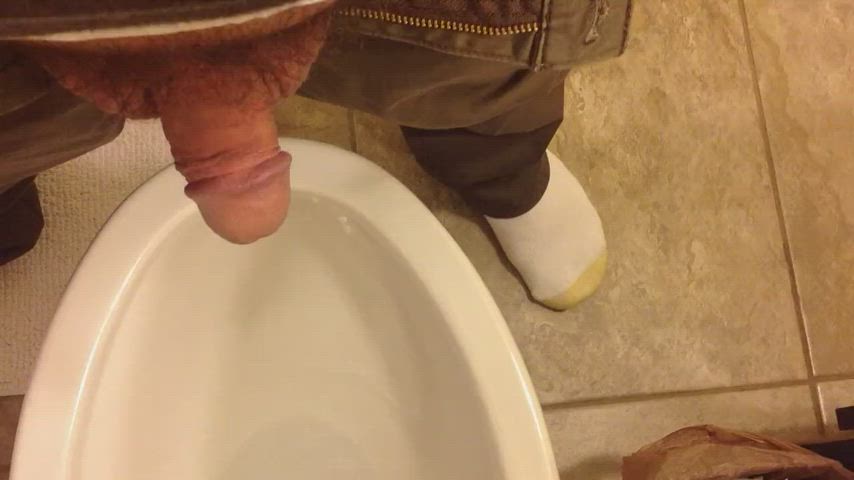 pissing in the toilet