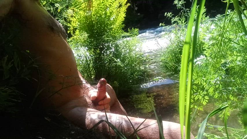 Sunbathing bator in the river