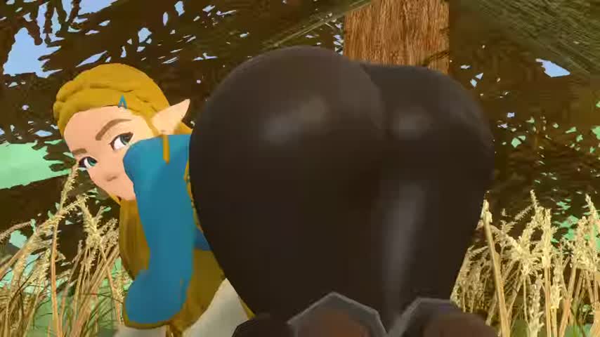 animation booty elf fantasy princess zelda shaking clip