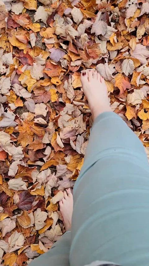 You're never too old to play in the leaves.