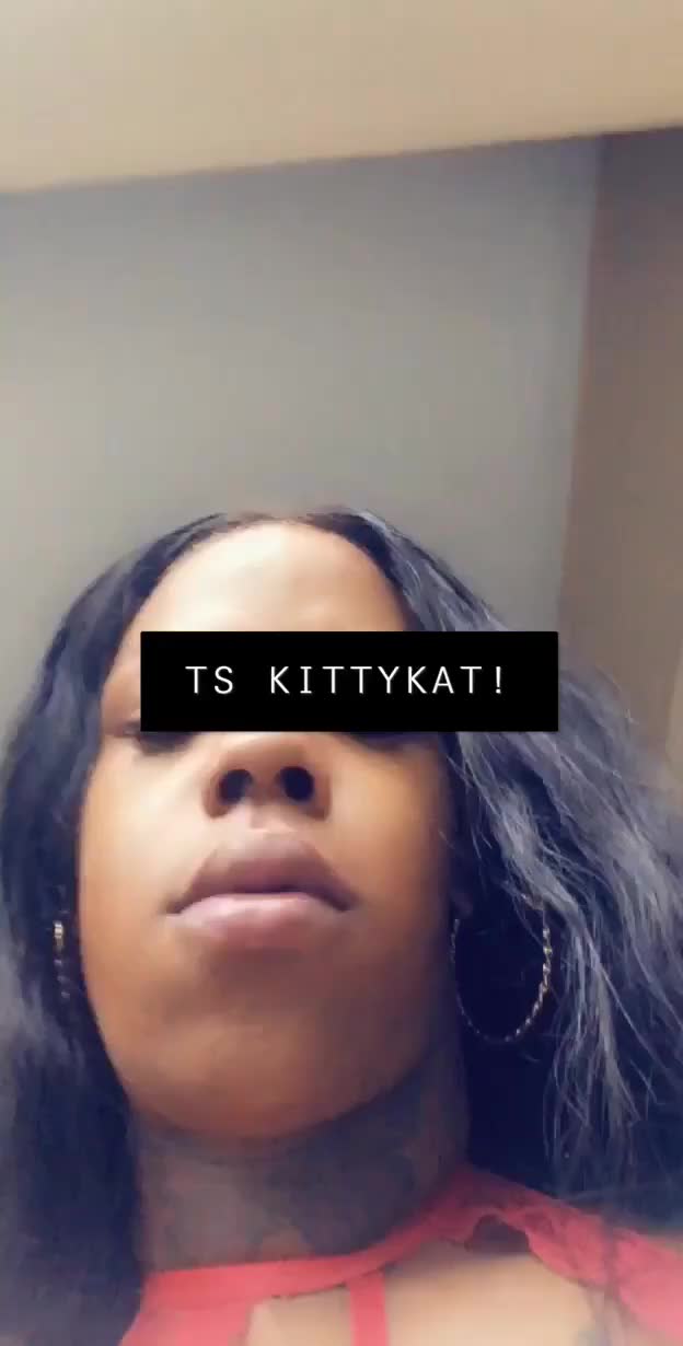 TS Kitty Kat