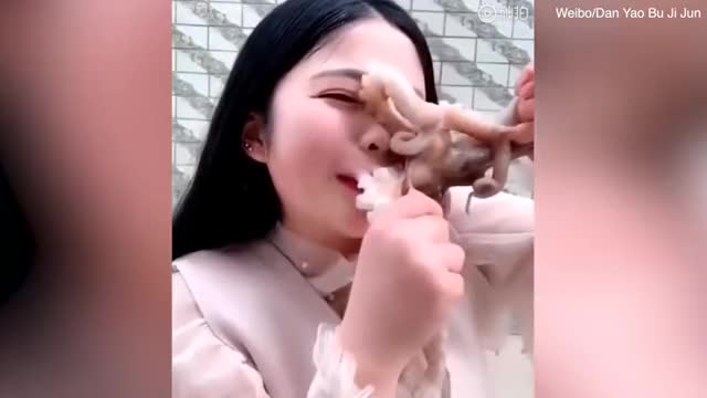 Vlogger screams after octopus 'attacked her face'