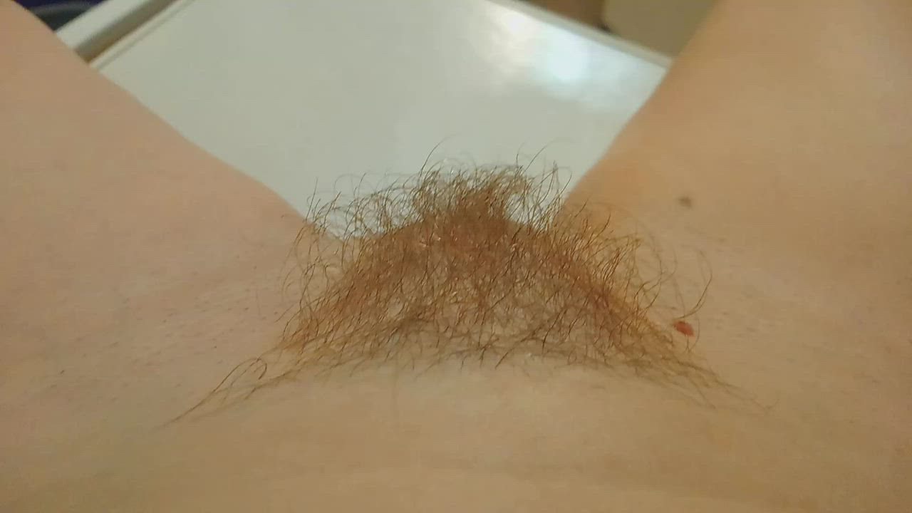 Hairy morning, lovers!