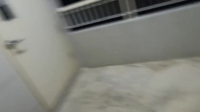 Just a quickie in my friends apartment stairs