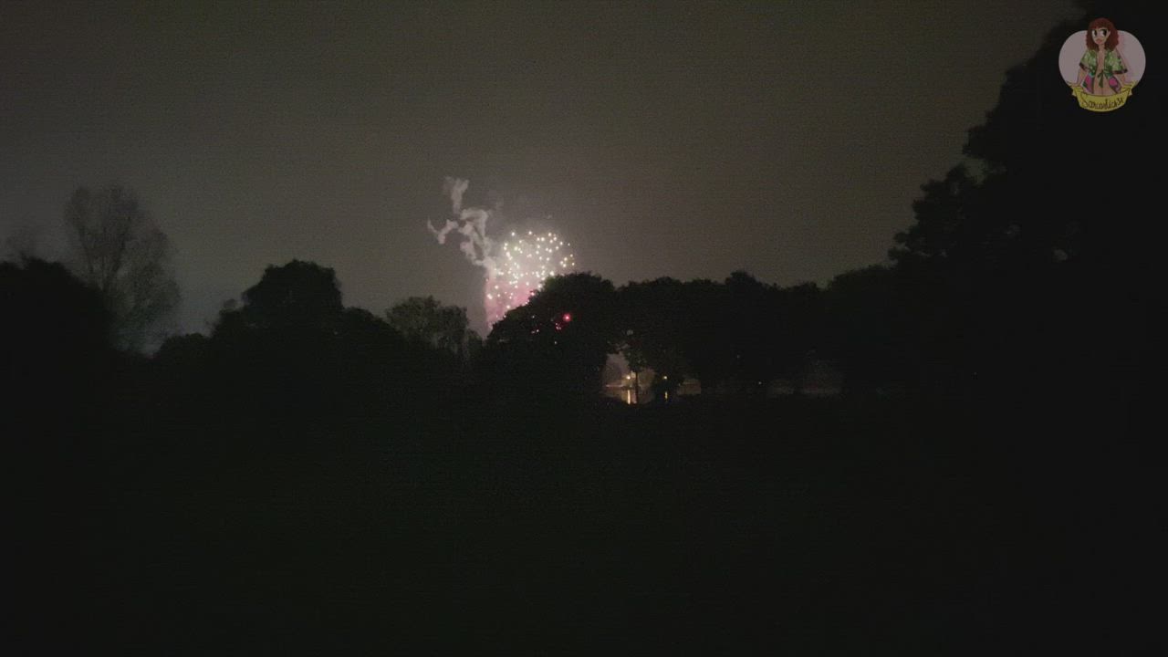 Firework night went out with a bang...