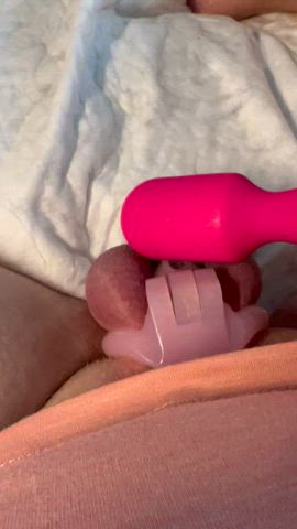 amateur caged dripping edging masturbating pee pink sissy slut clip