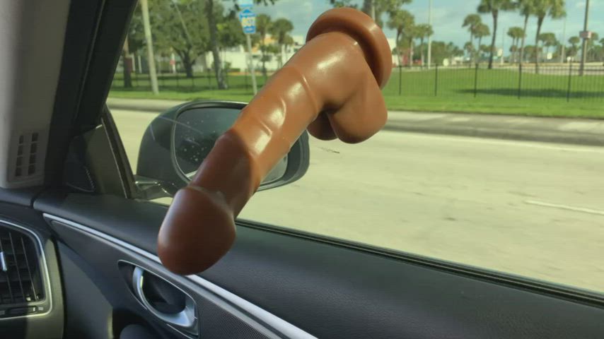 Dildo travels