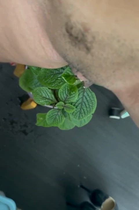 The plant wanted water so I took care of it