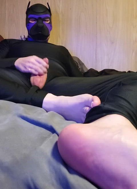 catsuit feet hood jerk off male masturbation masturbating petplay puppy spandex toes