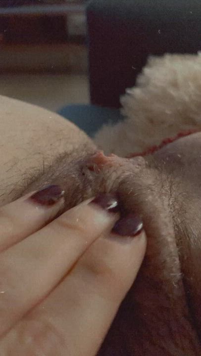 Up close of my hairy pussy 🤩 would you eat me out?