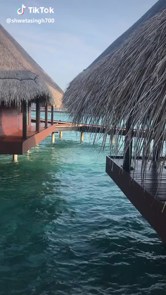  #maldives #blue #sea #tiktok