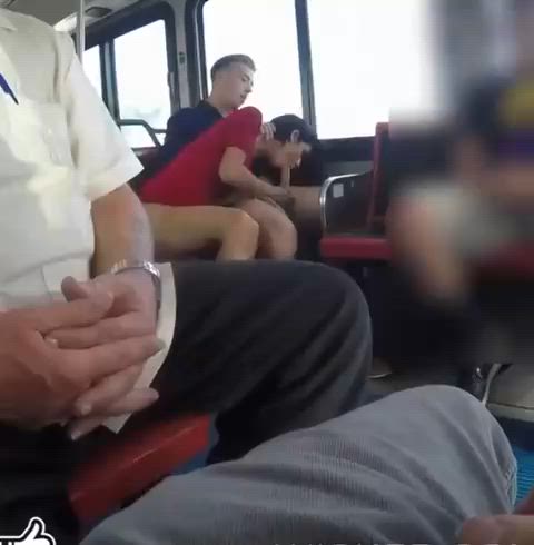 amateur bus caught exhibitionism exhibitionist public sex voyeur r/caughtpublic r/exposedtostrangers