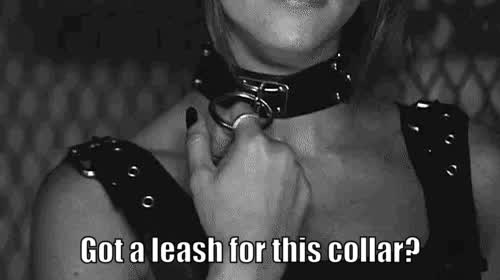 Got a leash for this collar?