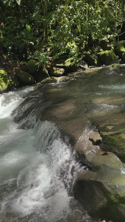 Found these enchanted cascades that lead to a giant waterfall in the jungle today.