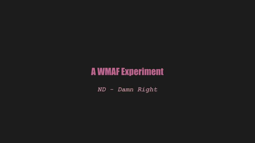A wmaf experiment - ND - Damn Right (splitscreen PMV)