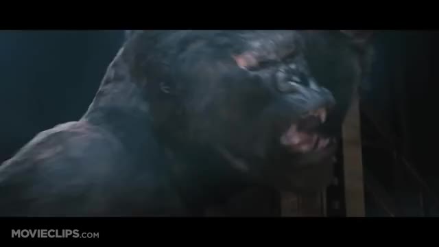 King Kong (6/10) Movie CLIP - Kong's Rampage (2005) HD