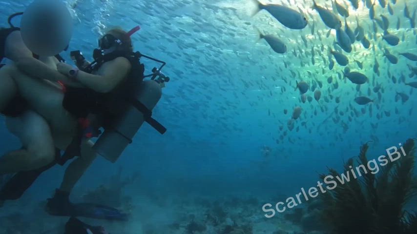 “Under the Sea” - I had sex underwater while SCUBA diving in the Caribbean 🥵.