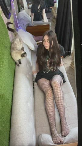 brunette fishnet thighs clip