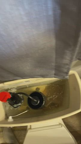 Piss ideas, DM me, I’ve run out, but here’s pissing in a toilet tank.