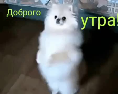 Доброе утро