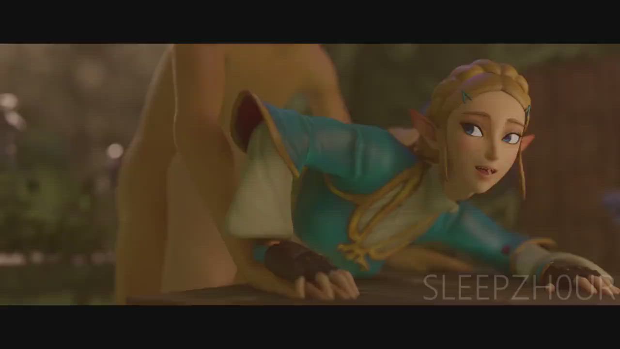 Princess Zelda (SleepzHour) [The Legend of Zelda]