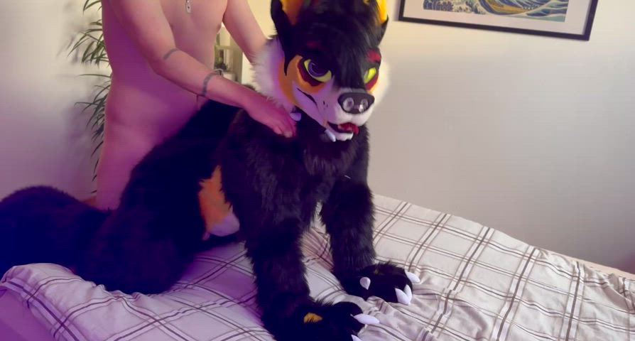 And they said dogs were not allowed on the bed..😈[Foxgirl_Nova][F&M]