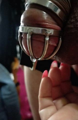 cfnm chastity mistress nails submissive clip