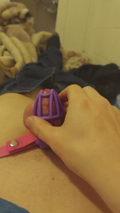 Chastity Femboy Sissy clip