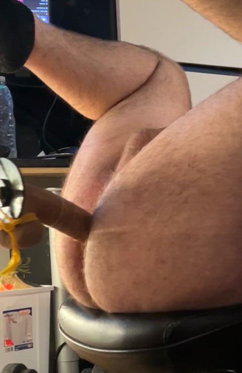 bear cub dildo fuck machine fucking machine hairy hairy ass huge dildo pubic hair