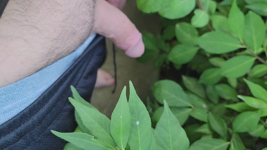 outdoor piss pissing clip