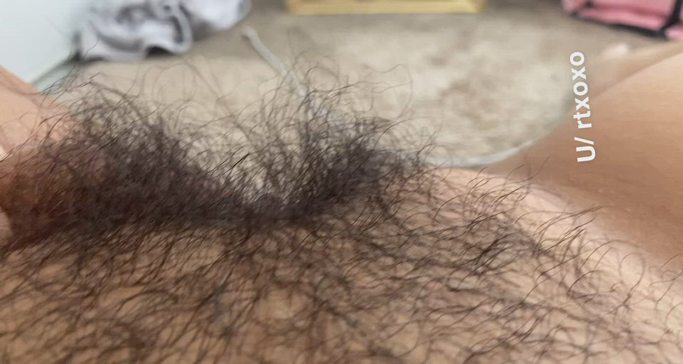 Here are my thighs and hairy pussy 😜