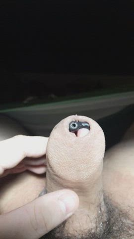 Cock Foreskin Toy Uncut clip
