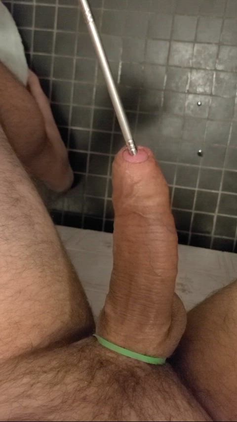 cock male masturbation masturbating object insertion penis solo sounding clip