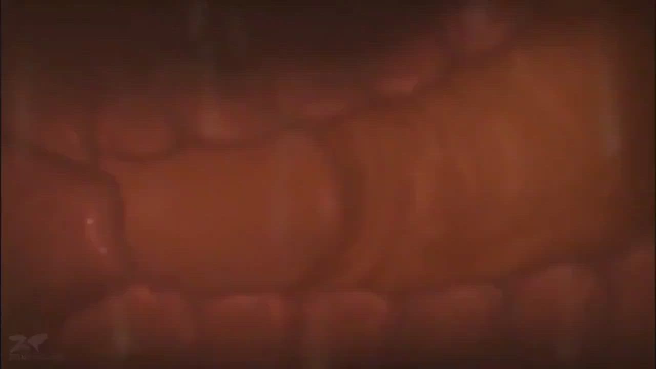 Creampie Deep Penetration Hentai clip