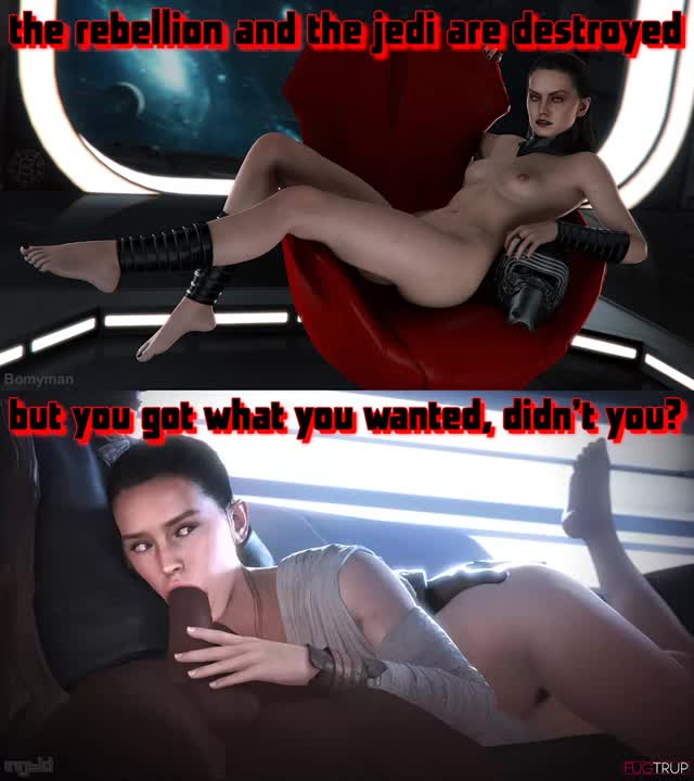 what you wanted (rey)
