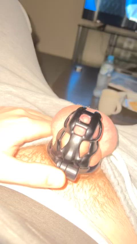 bottom chastity gay clip