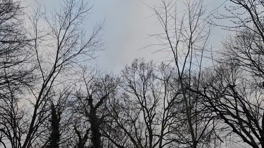 caption cute goddess clip