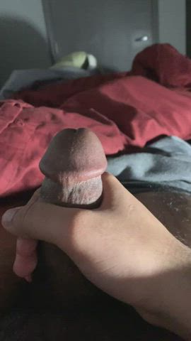 Cock Indian Jerk Off clip