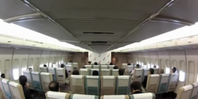 XXX Airline stewardess 2