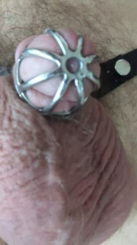 chastity gay precum pubic hair clip