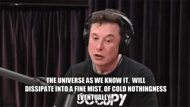 universe and everything elon musk