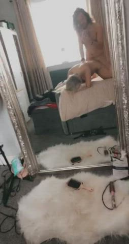 mirror doggy
