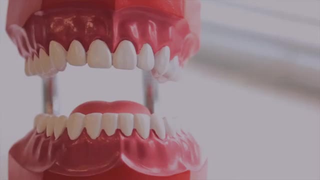 Florida Dental Care of Miller : Best Teeth Whitening in Miami, FL