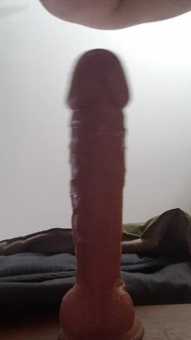 Riding my dildo doggie style