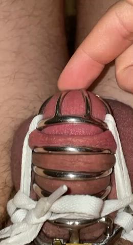 Chastity Dripping Tease clip