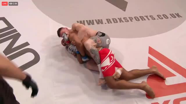 Nice ground and pound TKO by James Reedman at BAMMA 34