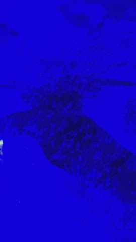 nsfw petite russian clip