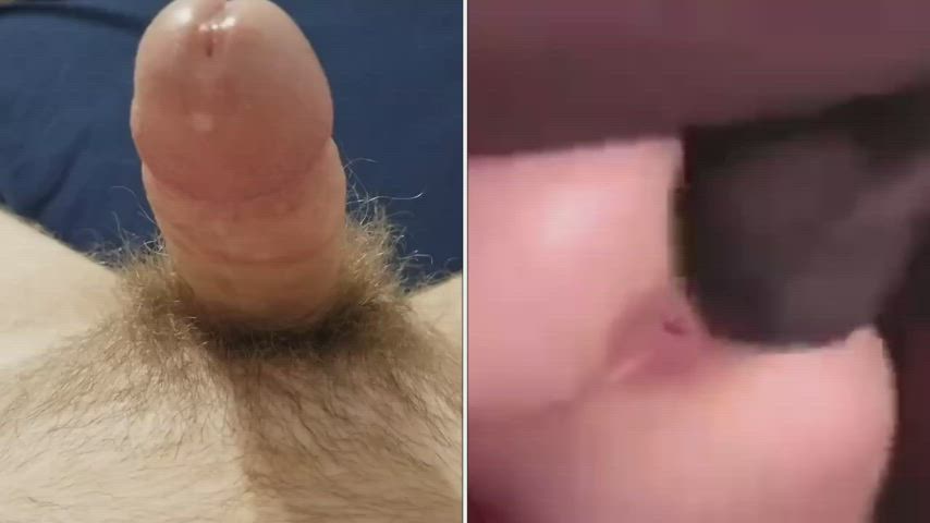 BBC Breeding Creampie Cuckold Cum Cumshot Humiliation Interracial Ruined Orgasm clip