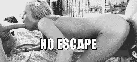 Why would you even want to escape?